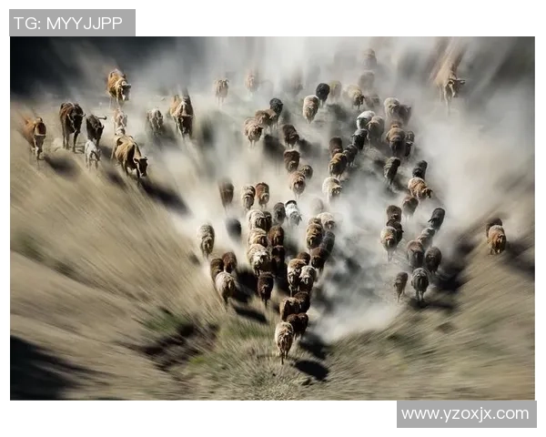 动漫镜头转场描绘绿茵球星逐梦之路与热血激情 动漫镜头转场描绘绿茵球星逐梦之路与热血激情